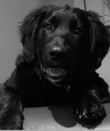 Book an Appointment with Rehab Drop-In at movement ōkanagan