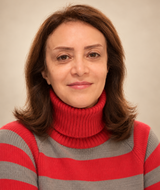 Book an Appointment with Badri Daneshamouz at North York - Better Life Counselling Center