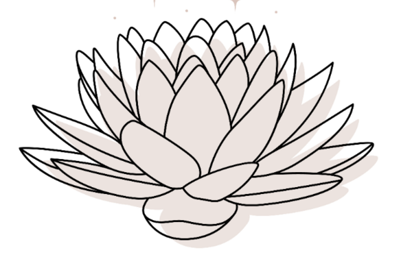 New Soulutions Psychology