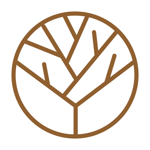 Phronesis Psychotherapy